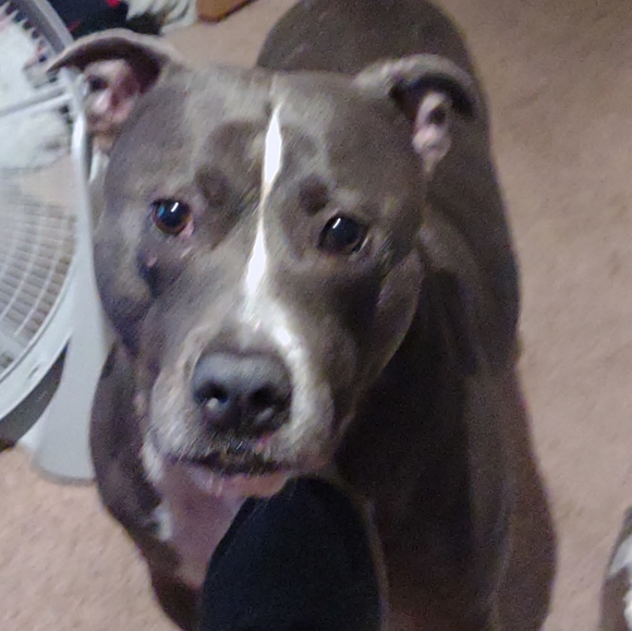 Meet your Posher, Tim - Picture 2 of 4